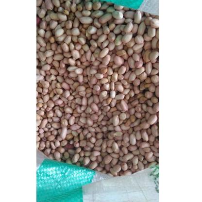 

㍻ Kacang tanah kupas/ kacang lokal oce bersih 1kg/kacang mentah ⇜