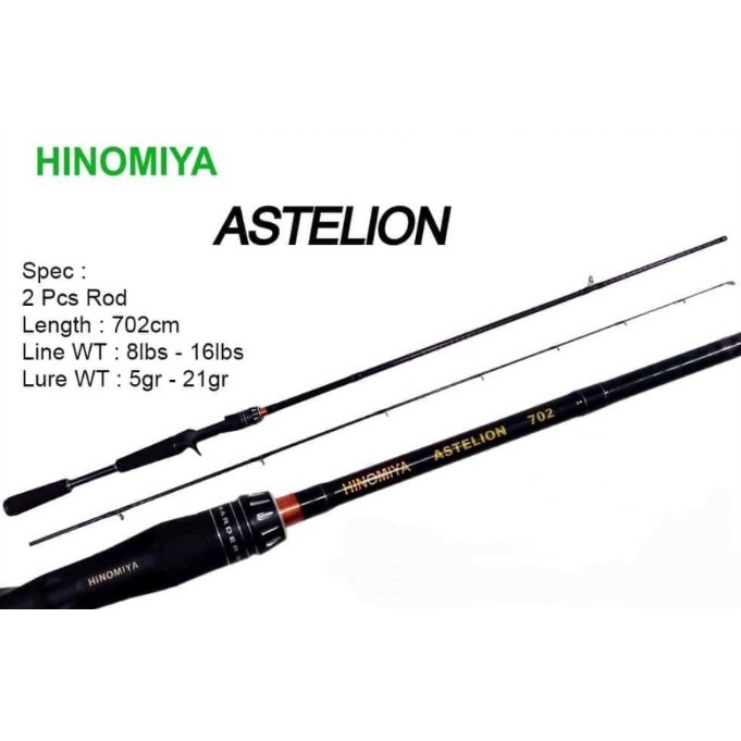 Stick Joran Casting Pancing Hinomiya Astelion 702 8-16LB