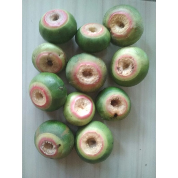 

BUAH SEGAR PEDADA (Sonneratia caseolaris) 1 KG / BUAH AJAIB BANYAK MANFAAT