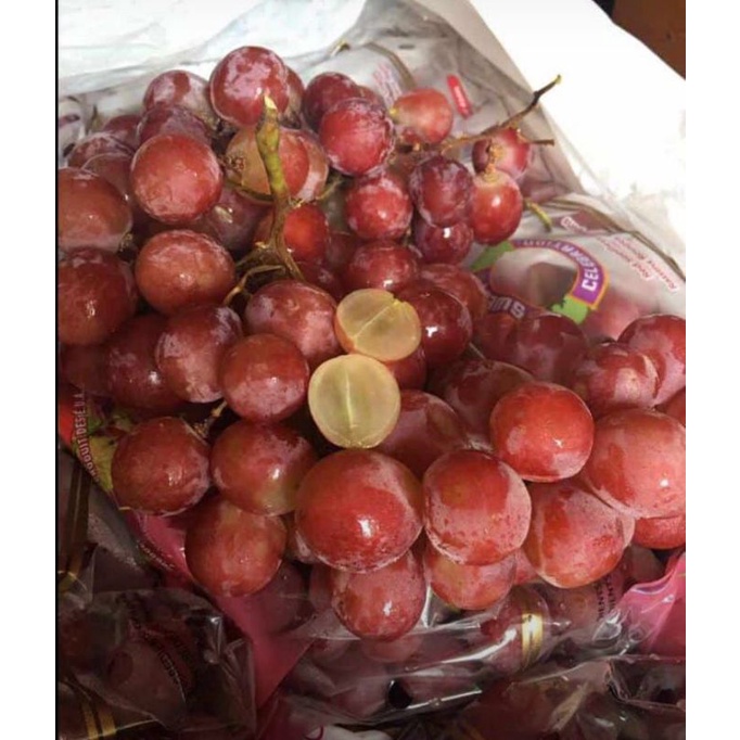 

anggur seedness red celebrity