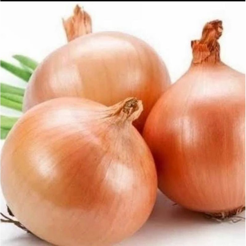 

Bawang bombay segar 250gr, bawang bombay