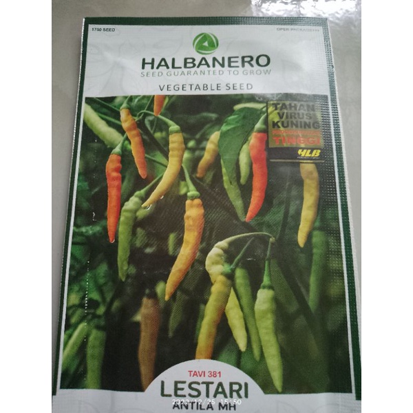 cabe rawit lestari dari halbanero