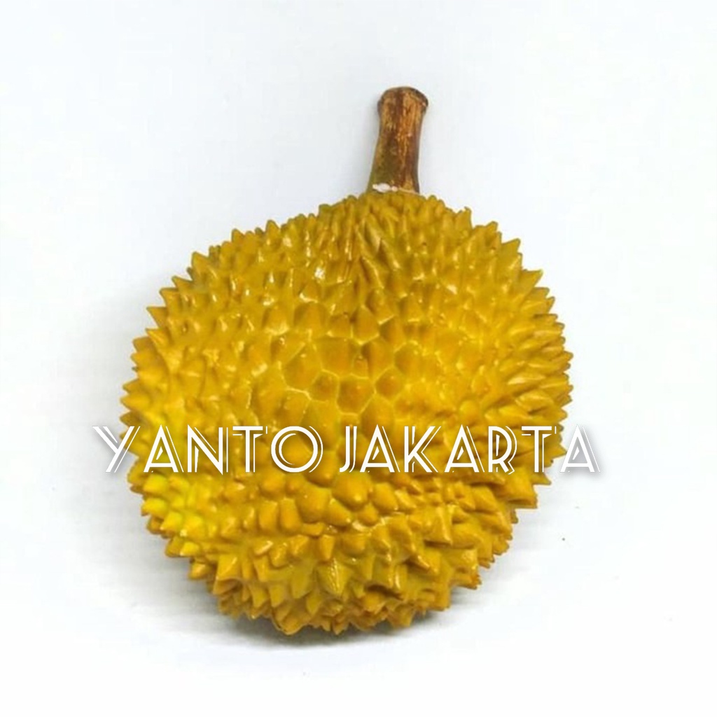 MAINAN DURIAN KARET MIRIP ASLINYA