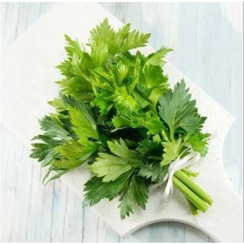 

BSM | Daun Sop Segar / Daun Seledri / Seledri Segar 250gr - 1kg