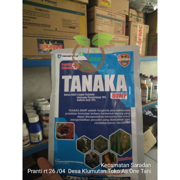 Fungisida Plus Bakterisida Tanaka 80 WP