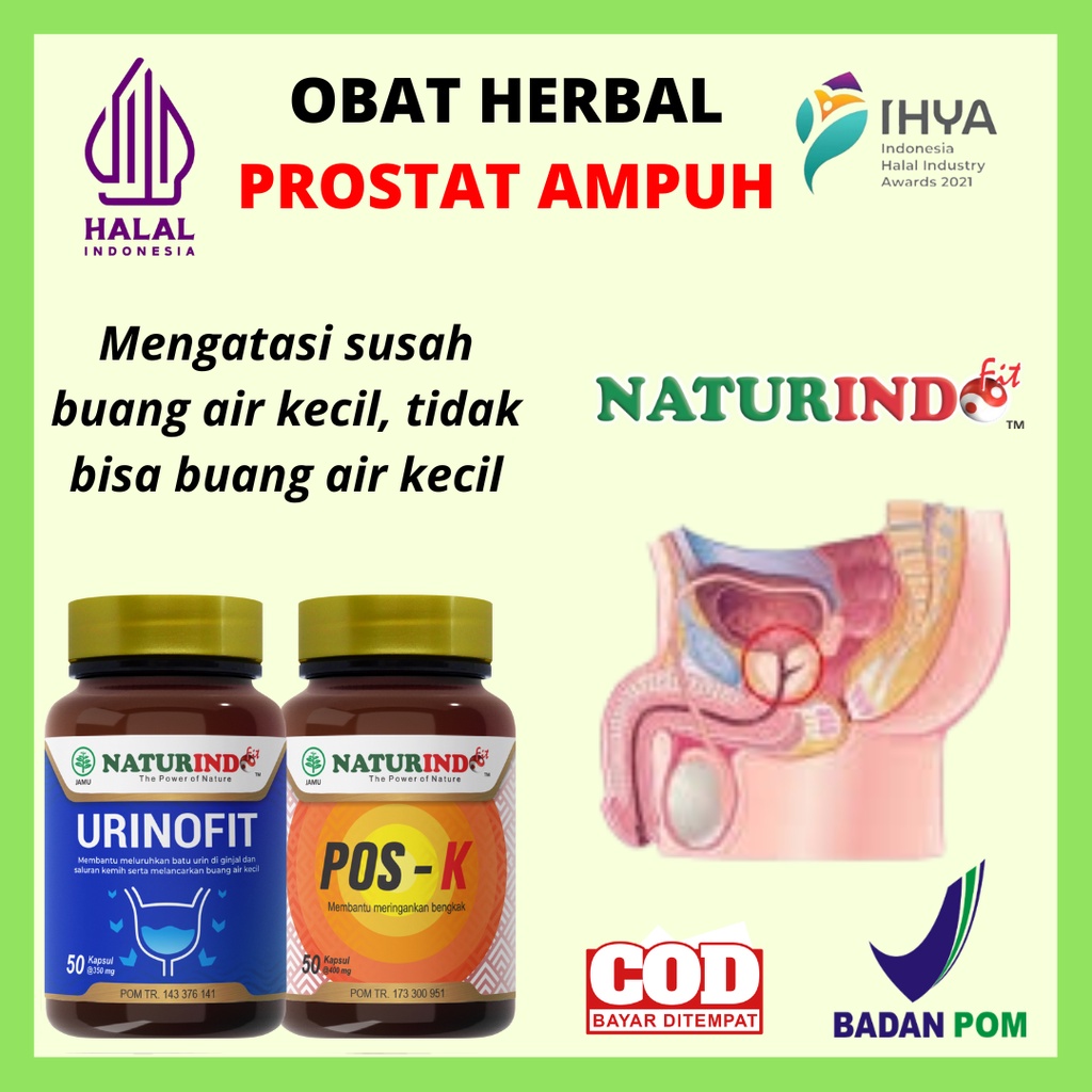 Obat Herbal Prostat Paling Ampuh Menyembuhkan Bengkak Melancarkan Saluran Kandung Kemih Infeksi Kand