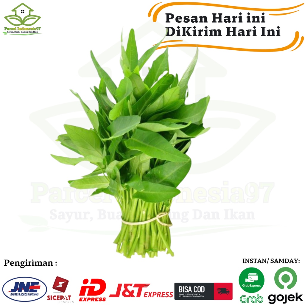 

Kangkung super 1 ikat pasar murah berkualitas