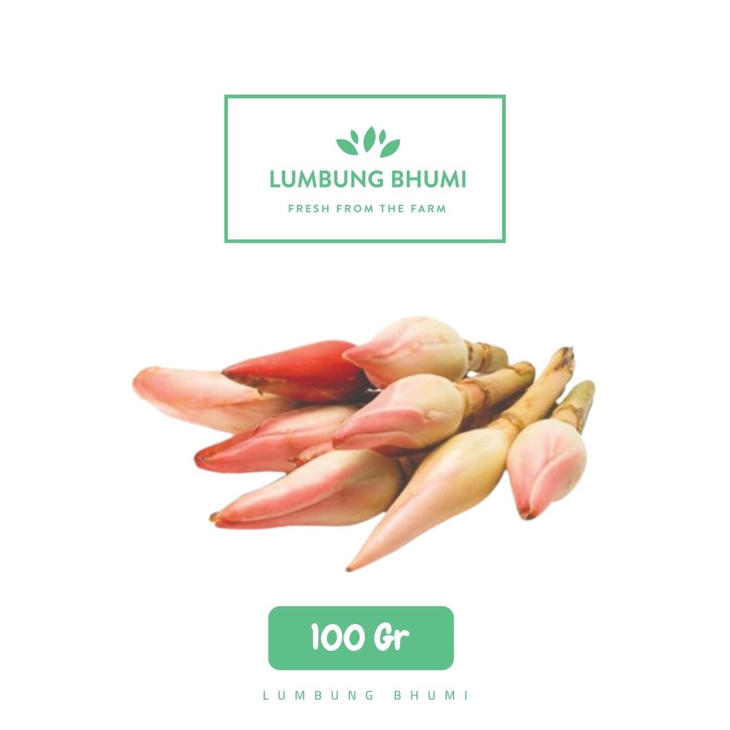 

Lumbung Bhumi - Kecombrang 100 Gr ( Sayur Curah )