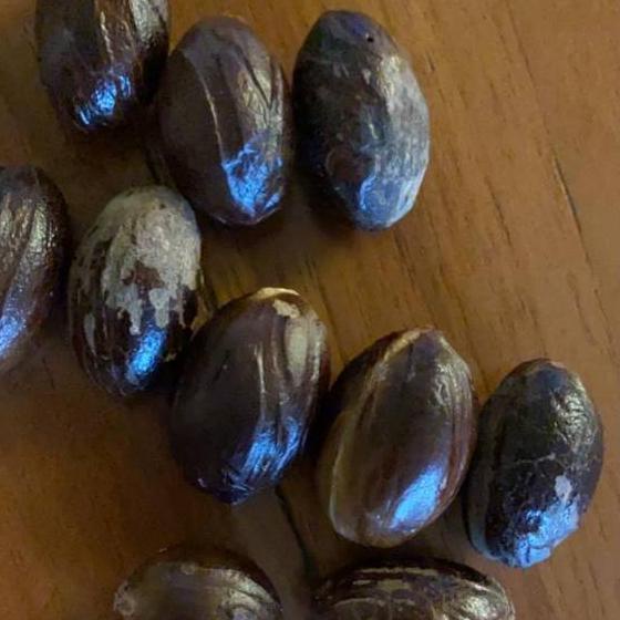 

11.11✔️Pala Lonjong asal Papua dapat 1kg. Paling Murah|SQ5