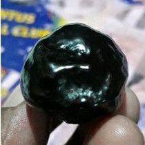 MUNCANG ADU Jenis Jalim pasangan mewah mata tengah