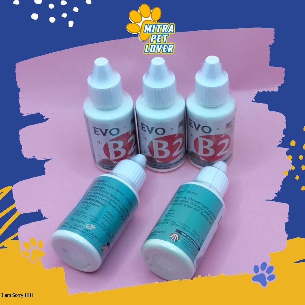 NUTRISI UNTUK BULU DAN KESEHATAN KUCING - EVO B2 CAT 30ML - MENGANDUNG ASAM AMINO SUPLEMEN PERTUMBUHAN BULU - MURAH ASLI GARANSI KUALITAS ORIGINAL - PET ANIMAL HEALTHCARE &amp; VETERINARY TAMASINDO OBAT KESEHATAN &amp;  VITAMIN TERNAK HEWAN  MITRAPETLOVER