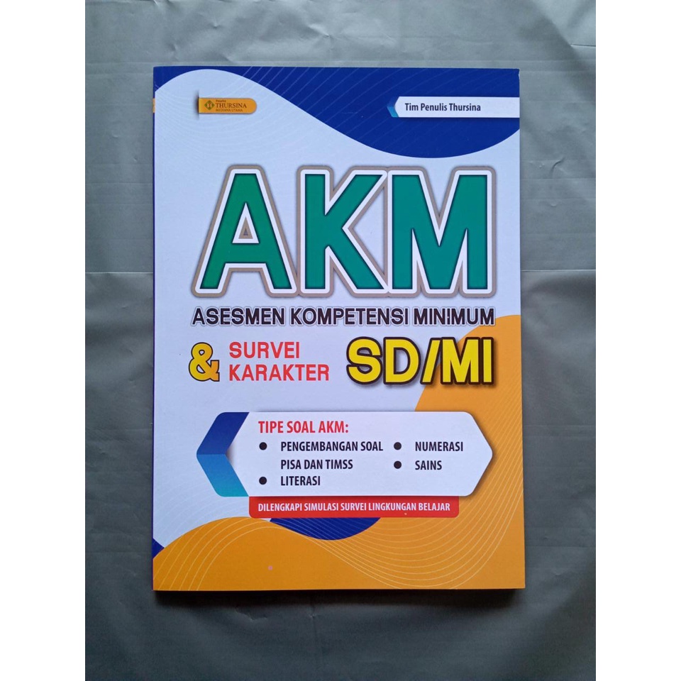 AKM Thursina SD/MI
