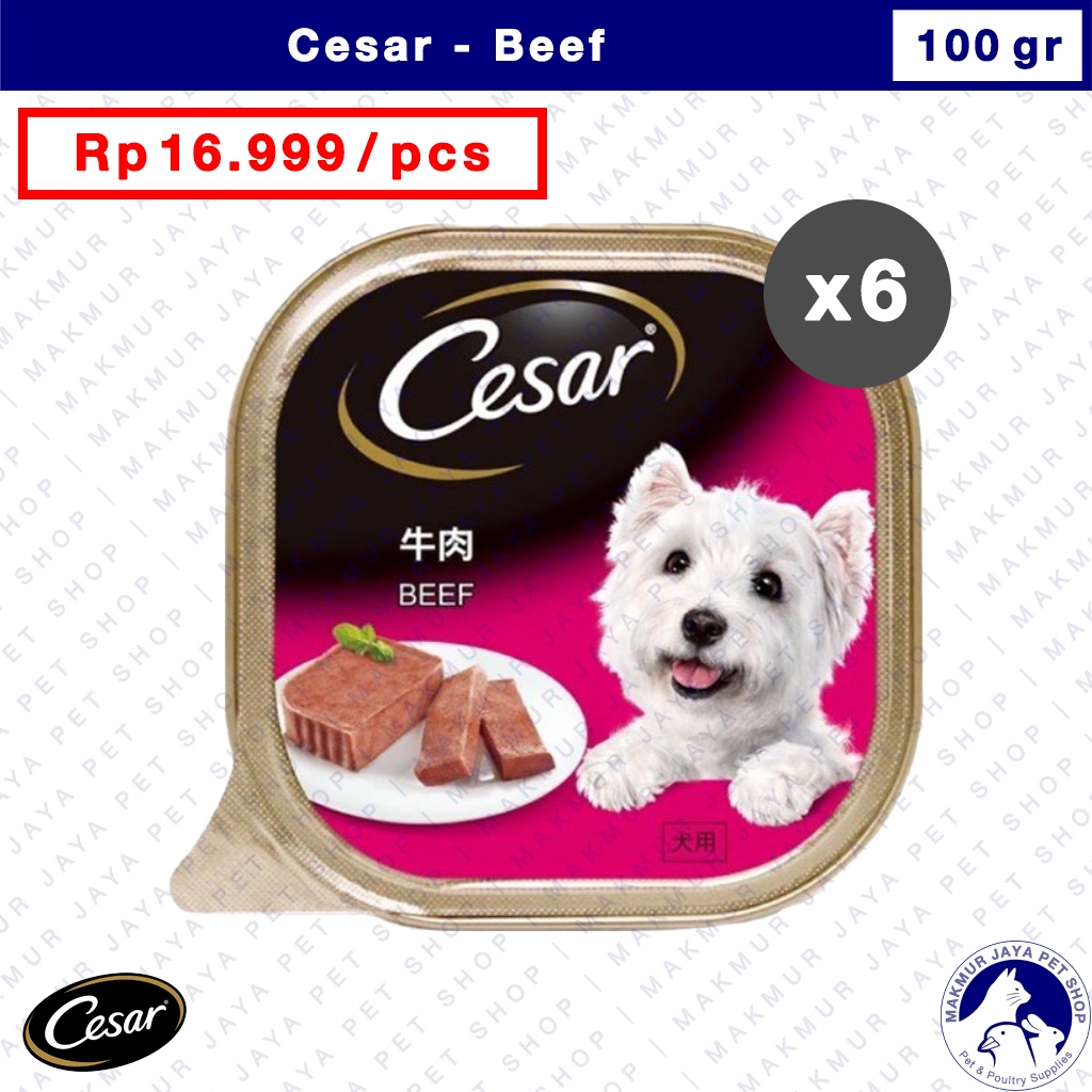 Cesar 100gr Beef / Wet Dog Food / Makanan Anjing Basah - isi 6