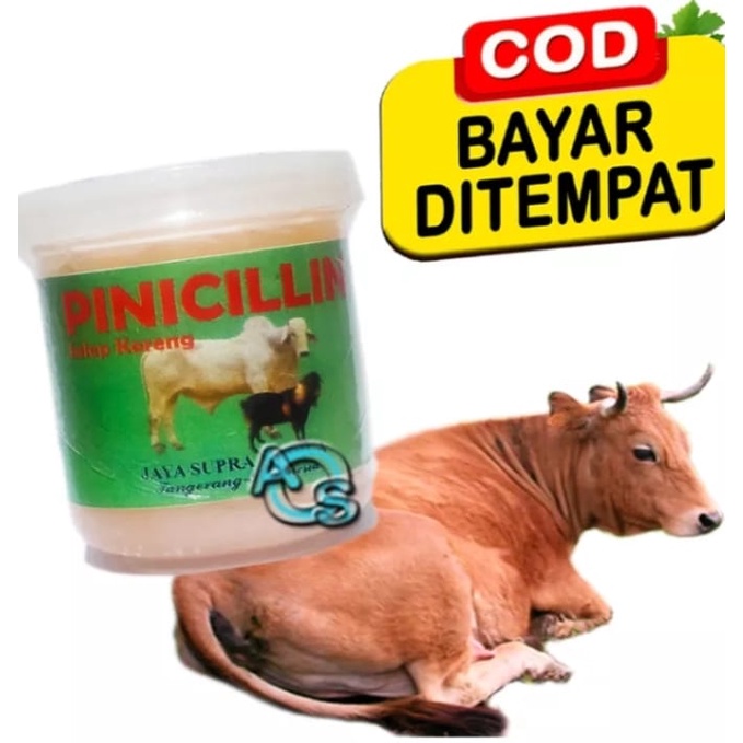 Obat Sapi Koreng Budug Anti Gatal Jamur Kambing Kerbau Salep PINICILLIN Cream Fast And Effective