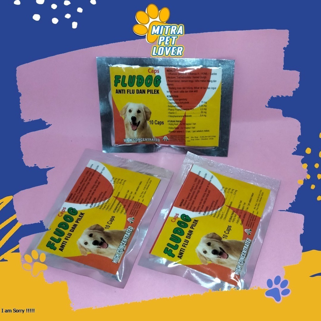 MENGOBATI FLU PADA ANJING - FLU DOG CAPSULE - 10 CAPSUL - MENGATASI INFLUENZA BERSIN DEMAM TINGGI RADANG SESAK NAFAS - MURAH ASLI GARANSI KUALITAS ORIGINAL - PET ANIMAL HEALTHCARE &amp; FLUDOG TAMASINDO OBAT KESEHATAN &amp;  VITAMIN TERNAK HEWAN MITRAPETLOVER