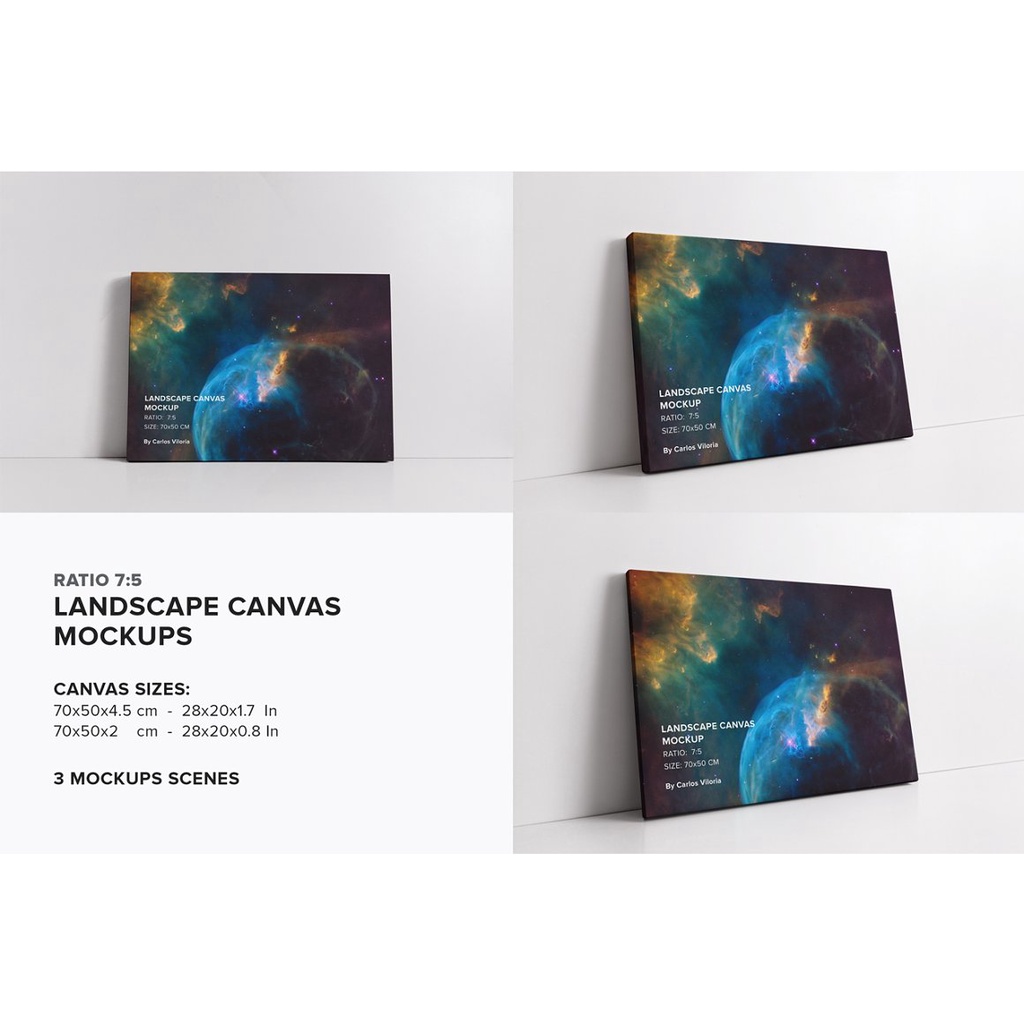 Canvas Mockups Bundle 2