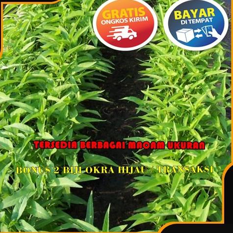 ƒ Polibek Tanaman Besar Plastik Polibag Hitam Ukuran 30 - 60 Cm ラ