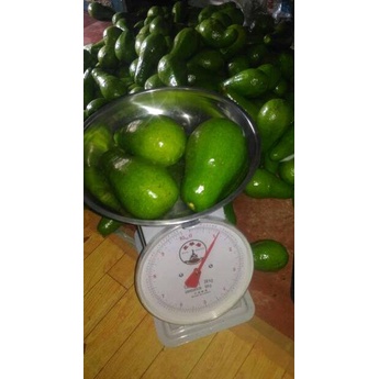 

Free Ongkir 1.1 Alpukat Mentega 1kg isi 4-5 .,..,.,.,.