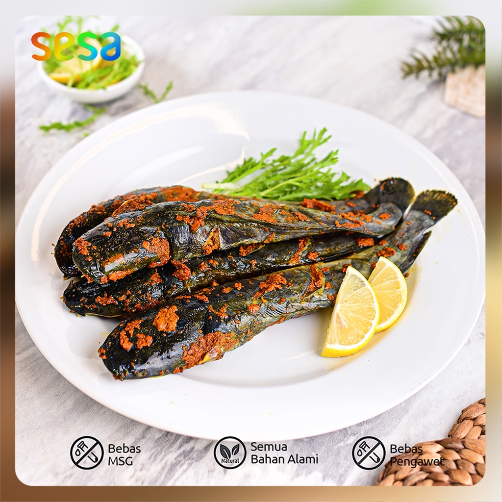 

IKAN LELE Bumbu Kuning 400 - 450gr - Seafood Fresh Frozen Food
