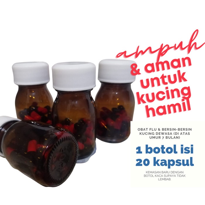 OBAT FLU KUCING (DEWASA) AMPUH & AMAN JUGA BUAT KUCING HAMIL
