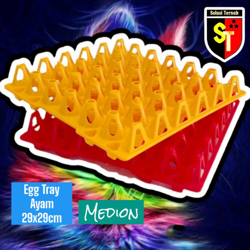 EGG TRAY Tempat Telur Ayam MEDION 29x29 cm
