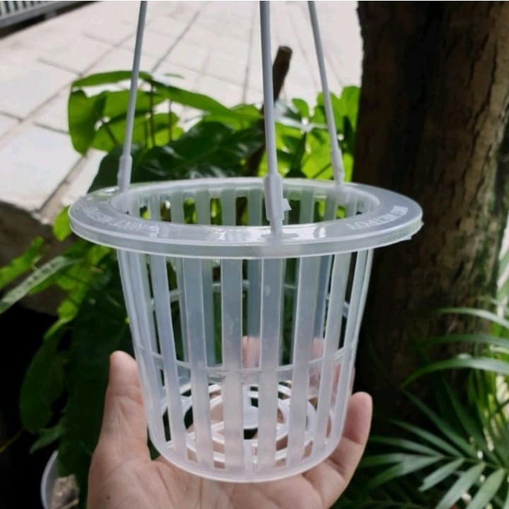 NETPOT GANTUNG VANDA BENING POT VANDA BENING POT BENING POT GANTUNG VANDA