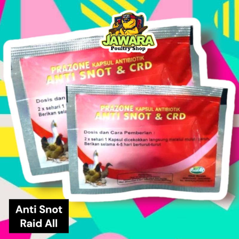 Obat Pilek Snot Ayam Bebek 10 Kapsul ANTI SNOT RAID ALL