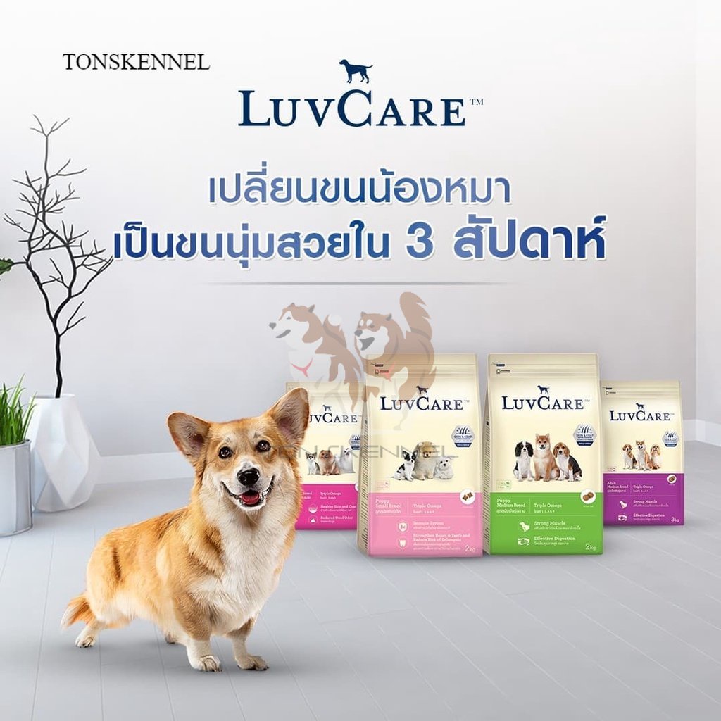 LUVCARE LUV CARE Small Breed Puppy Adult Triple Omega Beef 2 Kg Liver Egg Milk Vegetable 2kg Makanan Anak Anjing Anakan Ras Kecil Dewasa freshpack