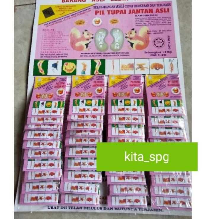 

✨ 7.7 pil Tupai jantan asli