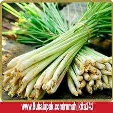 

serai atau sere serba 3 rb