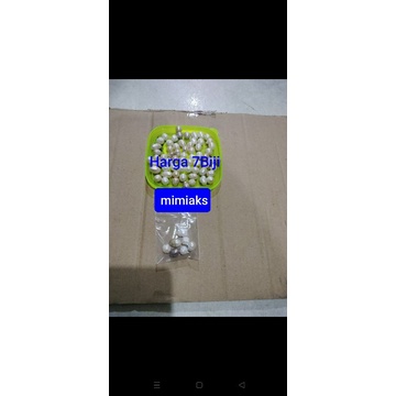 Mutiara Orang Meninggal/leluhur/ceng beng/Zhen cu orang meninggal/bks