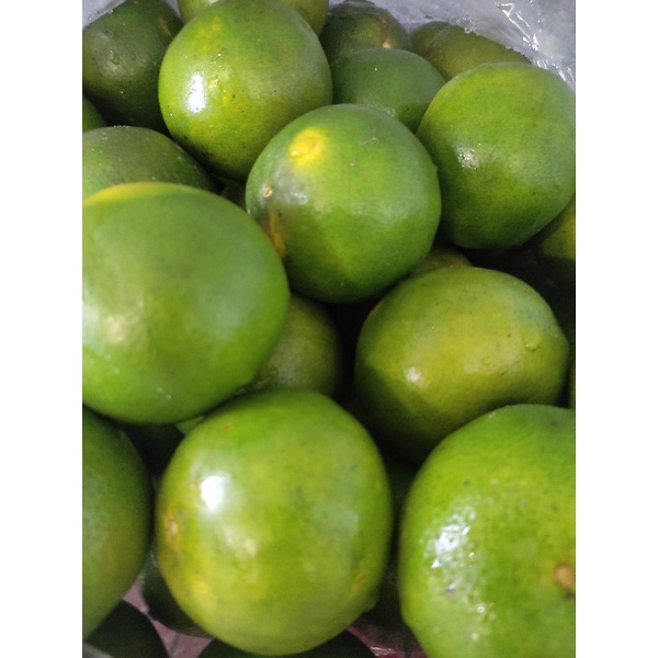 

Jeruk Peras Pontianak 1kg