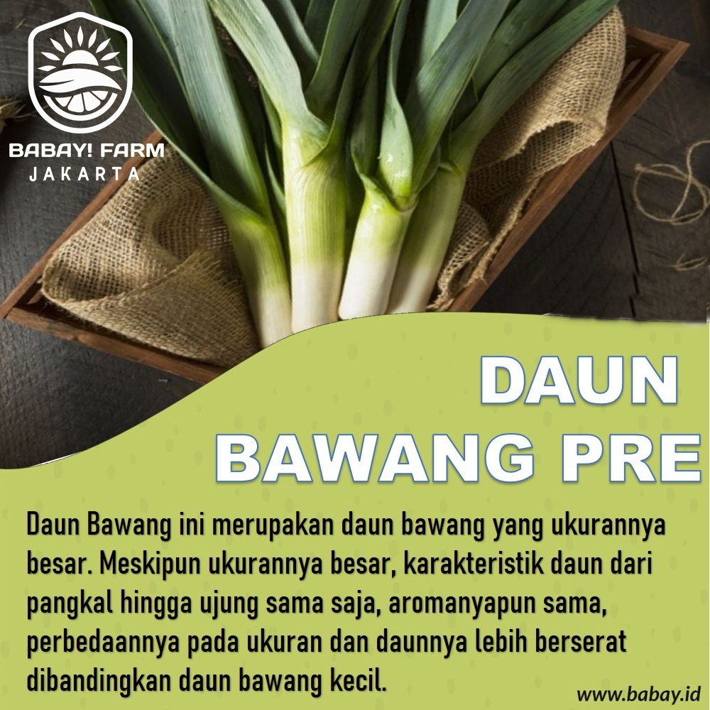 

Daun Bawang Pre 1 ikat