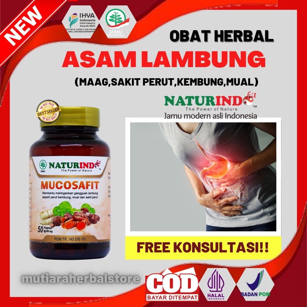 Jual Obat Asam Lambung Herbal Asam Lambung Maag Magh Kronis Ampuh