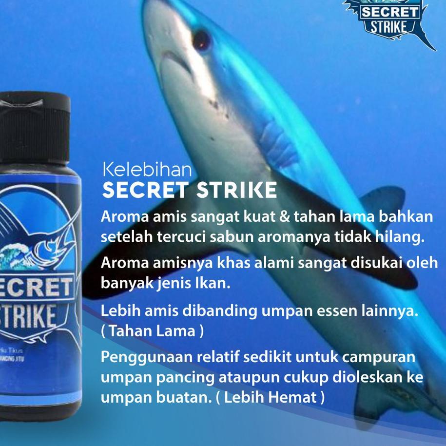 ㄸ SECRET STRIKE Essen Pancing Aroma Amis ↣