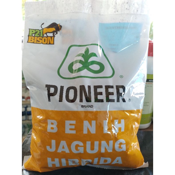 Benih jagung hibrida pioneer P21 Bison 1kg