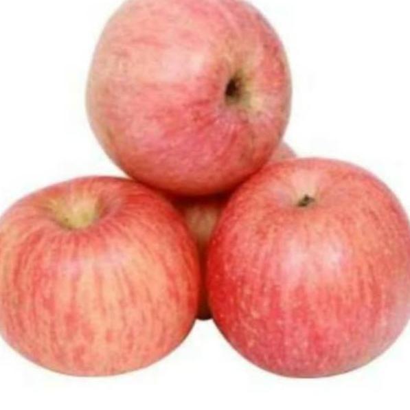 

✍ Apel Fuji 550 gram (3 pcs) ⇔