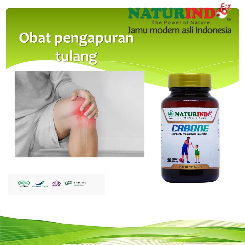 OBAT TULANG KROPOS PENGAPURAN SENDI  TULANG RAPUH  SENDI BENGKAK