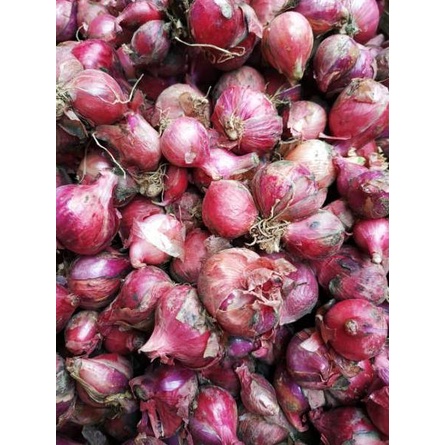 

☁ Bawangmerah 500gr ㅑ