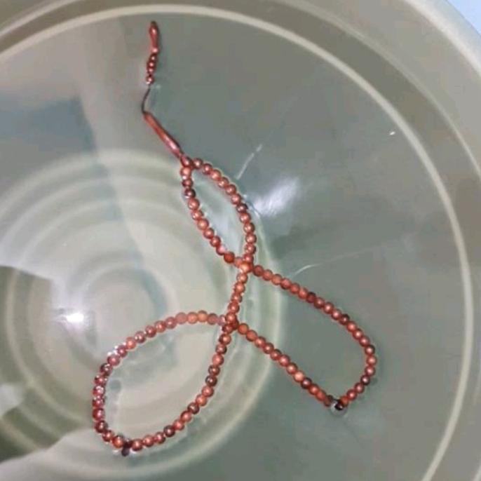 Tasbih Kayu Ulin Timbul,Ulin Manang,Kayu Antik Alami Kalimantan