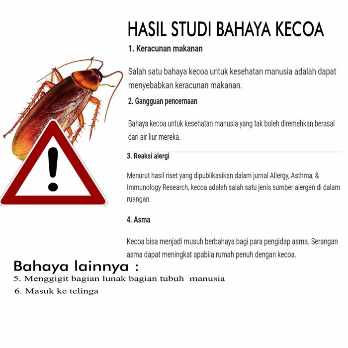 cairan pengusir kecoa tanpa isektisida tidak beracun kecoa auto kabur tanpa bahan berbahaya aman bagi manusia suplayer OPI baru