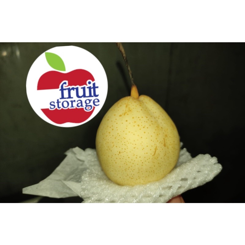 

Pear Ya Lie 1kg import buah pir yalie yali impor manis segar fresh sweet