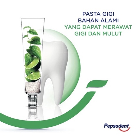 Pepsodent Pasta Gigi action 123 Herbal 100g