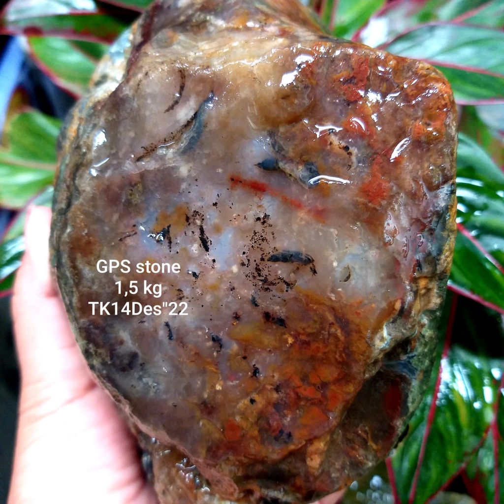 PROMO  BONGKAHAN BADAR LUMUT AKIK SUPER / ROUGH SUPER KRISTAL / Rough Bahan Batu BADAR LUMUT SUPER a