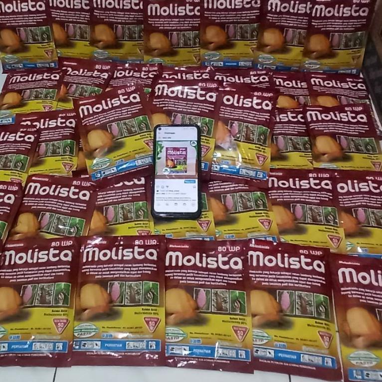[L-P1P-➸] Molista 80wp / Moluskisida 50 gram_terviral