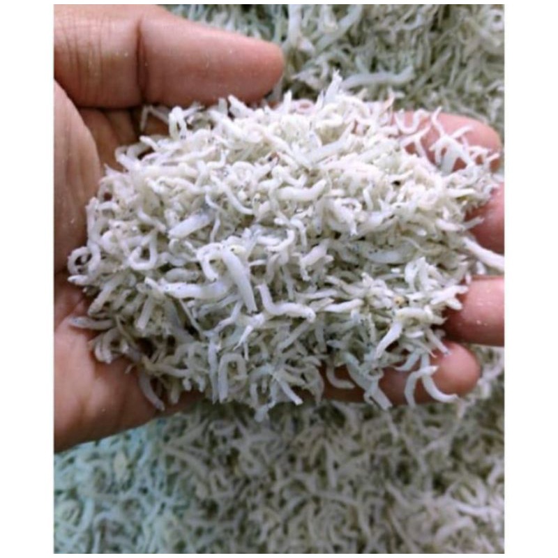 

Teri nasi _ 100gr