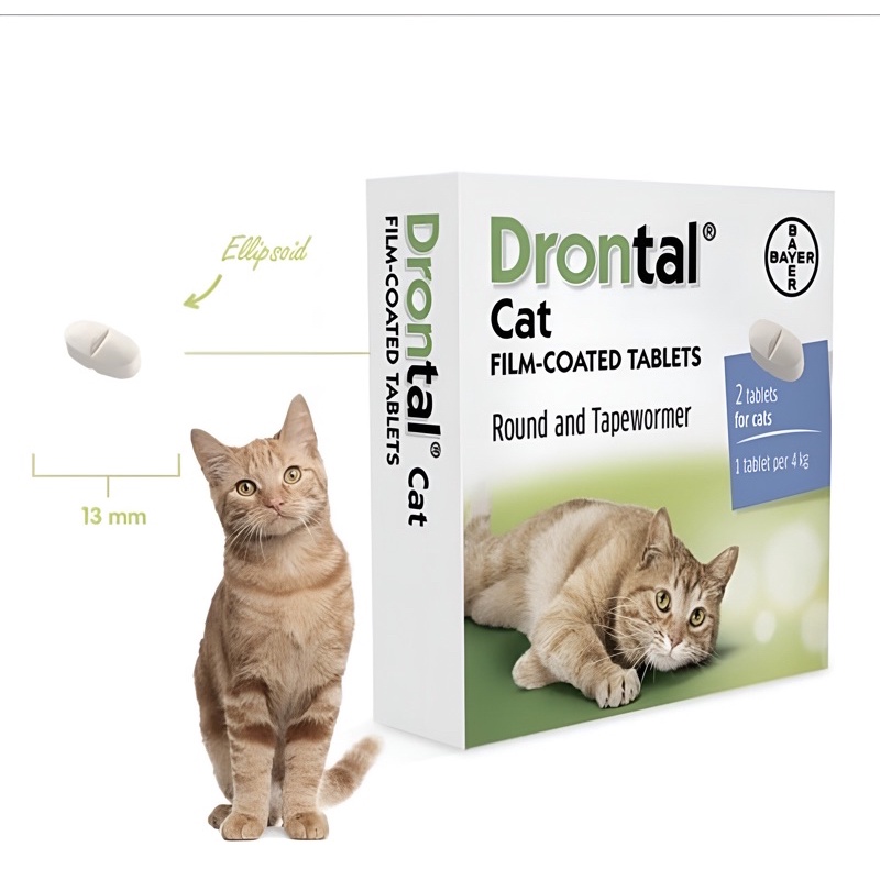 Drontal Cat