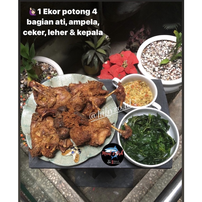 

Bebek Ungkep Pawon Ayu Kartasura Txs0X-05