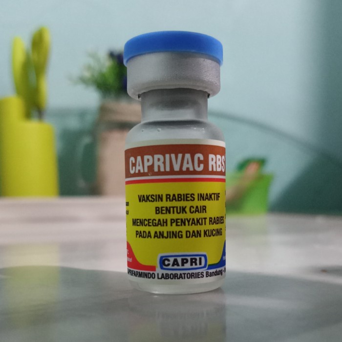 VAKSIN RABIES INAKTIF CAPRIVAC RBS UNTUK ANJING KUCING ORIGINAL BEST QUALITY