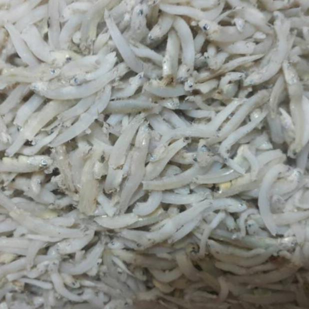 

[BAYAR DITEMPAT] Teri nasi tauge